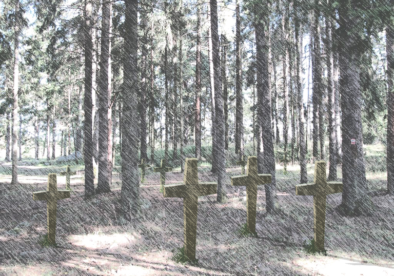 jaerva_06.jpg